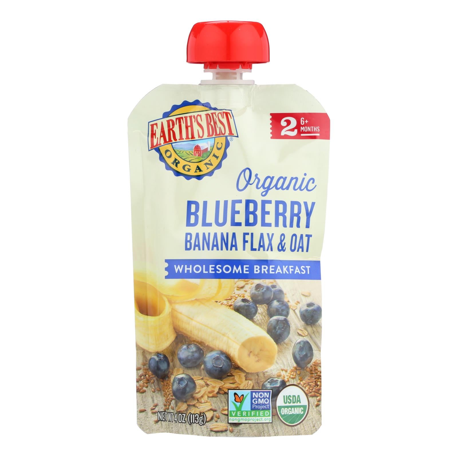 Earth's Best Organic Wholesome Breakfast Blueberry Banana Pouch - Case Of 12 - 4 Oz. - Whole Green Foods
