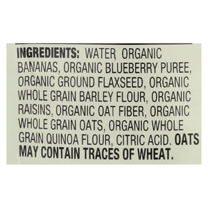 Earth's Best Organic Wholesome Breakfast Blueberry Banana Pouch - Case Of 12 - 4 Oz. - Whole Green Foods